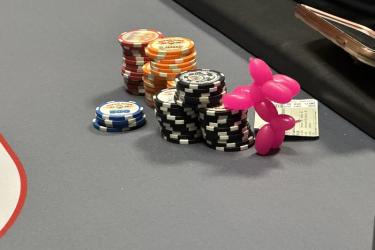 Samantha Skelly's Card Protector