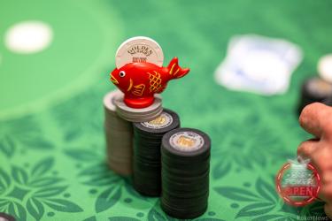 Hung Quach Card Protector